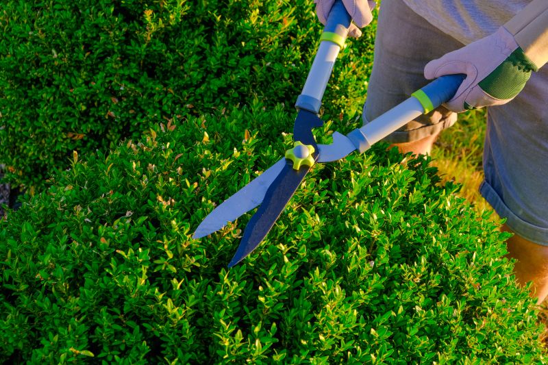 Hedge Shearing