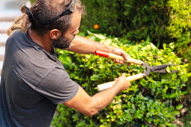 Detail Trimming of Shrubs