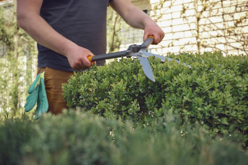 Shrubs with Precise Cuts