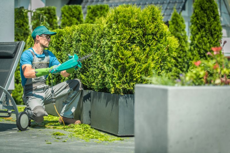 Landscaper Working on Shrubs