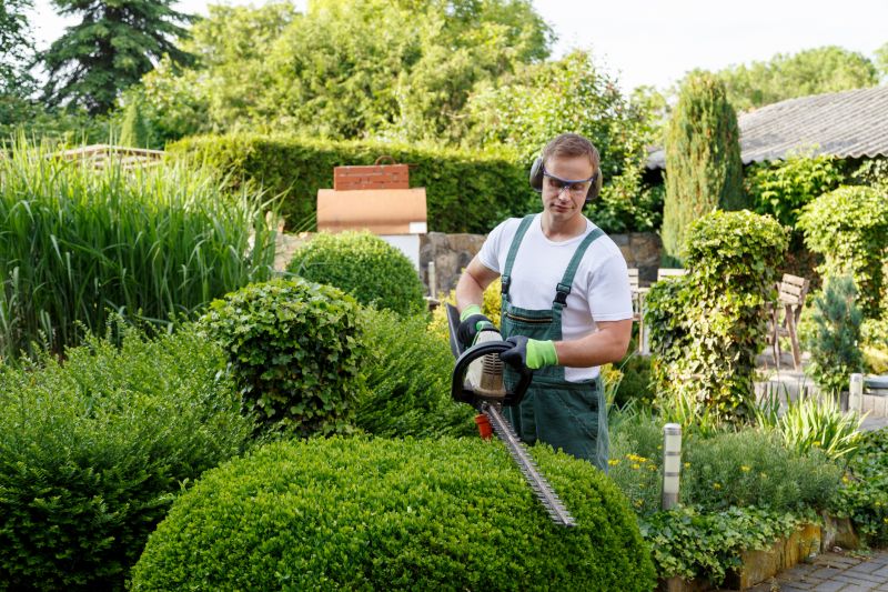 Expert landscape maintenance